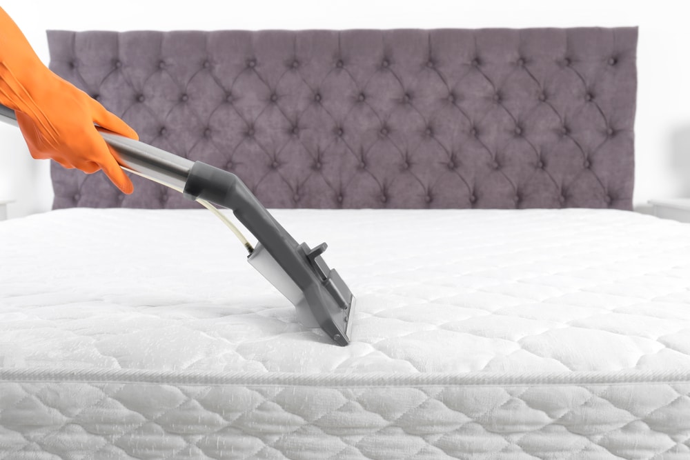 allergens out mattress bedroom